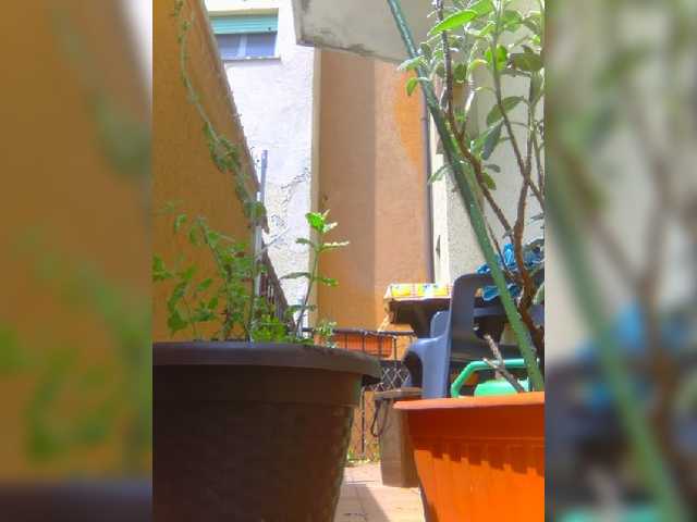 Dark-Angel-22 live cam on BongaCams