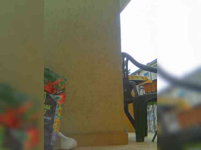 Dark-Angel-22 webcam
