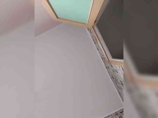 Alisa-TOP webcam