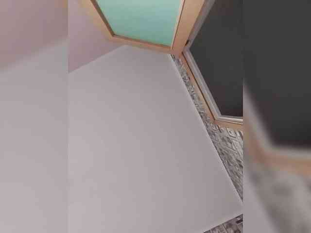 Alisa-TOP webcam