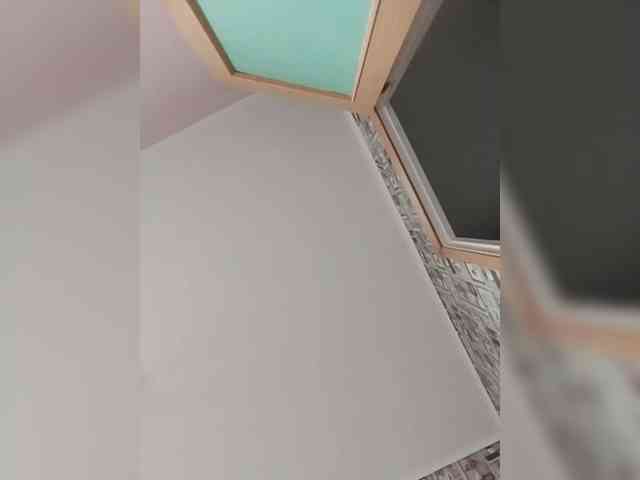 Alisa-TOP webcam