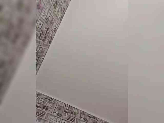 Alisa-TOP webcam