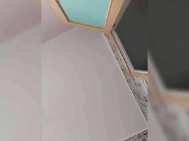 Alisa-TOP webcam