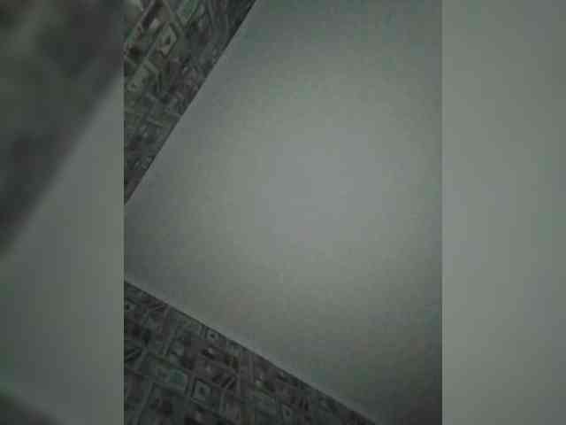 Alisa-TOP webcam