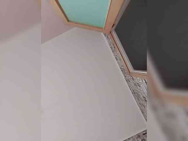 Alisa-TOP webcam