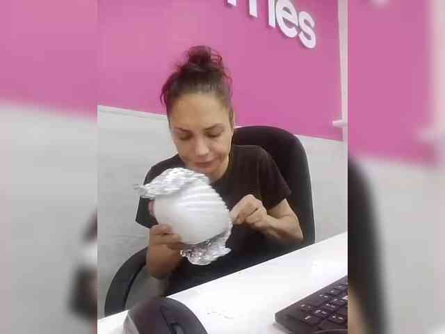 Alisa-TOP webcam