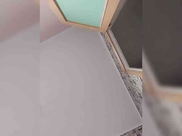 Alisa-TOP webcam