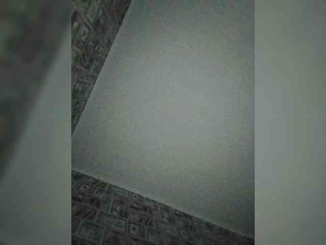 Alisa-TOP webcam