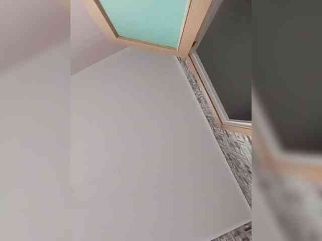 Alisa-TOP webcam
