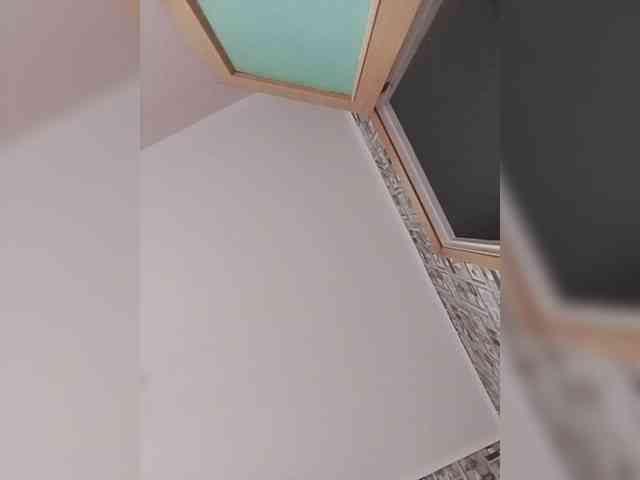 Alisa-TOP webcam