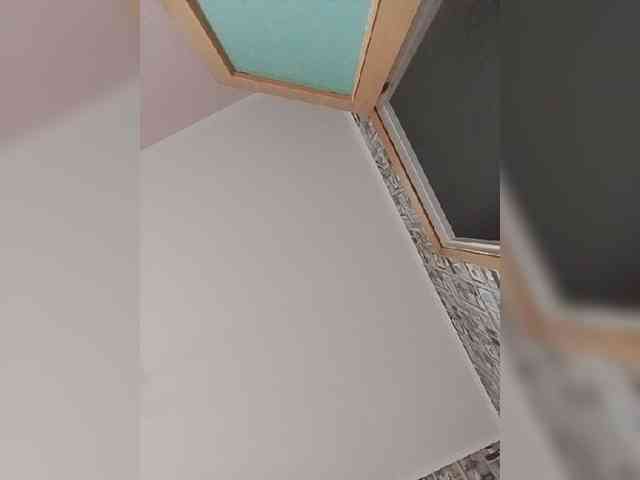 Alisa-TOP webcam