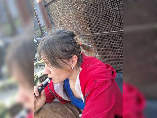Lisse