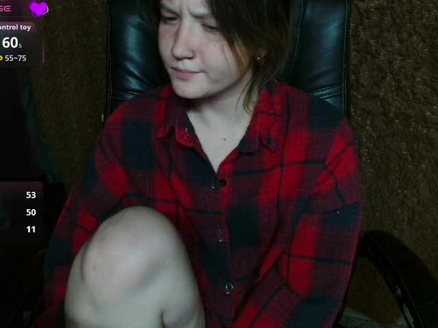 Lisse