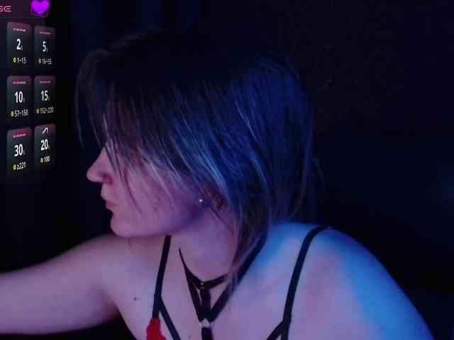 Lisse webcam