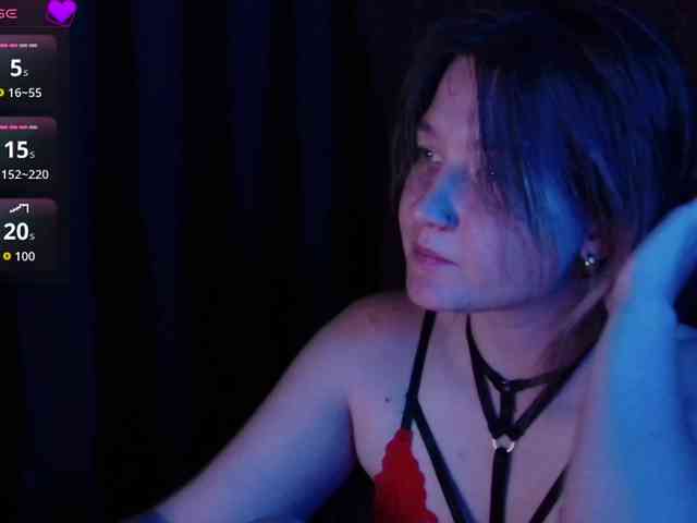 Lisse webcam