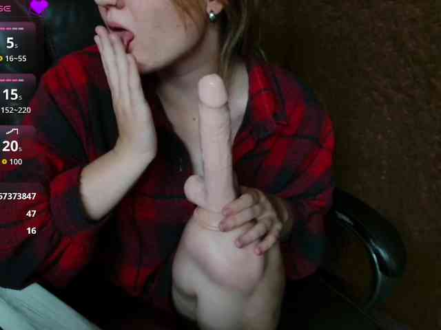 Lisse webcam