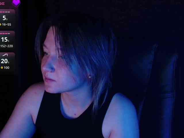 Lisse webcam