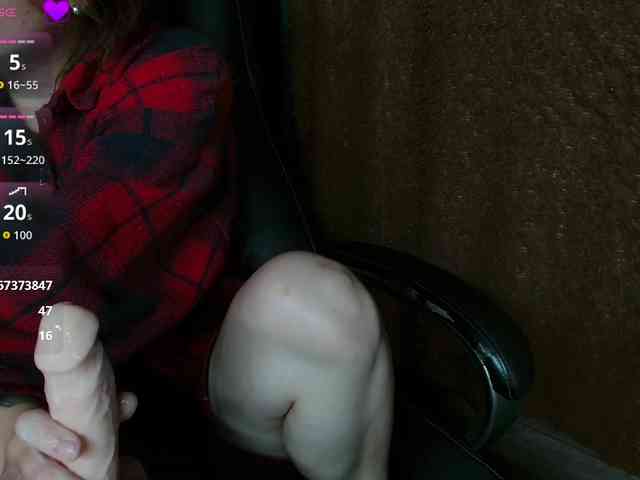 Lisse webcam