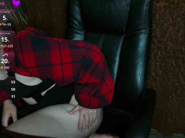 Lisse webcam