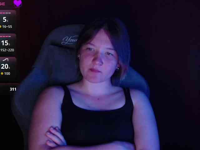 Lisse webcam