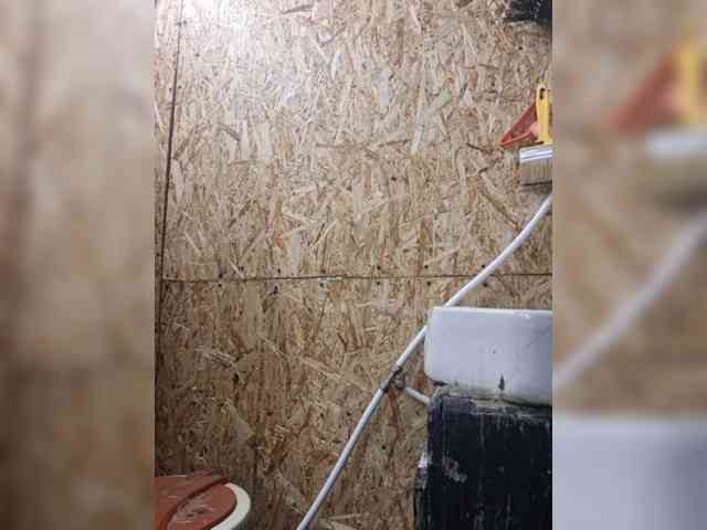 Lisse webcam