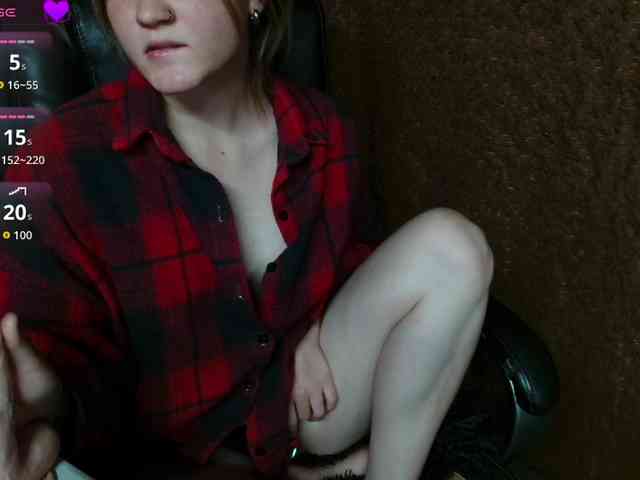 Lisse webcam