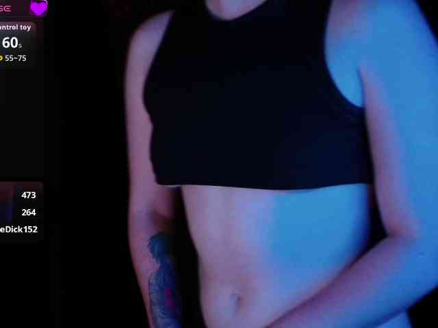 Lisse webcam