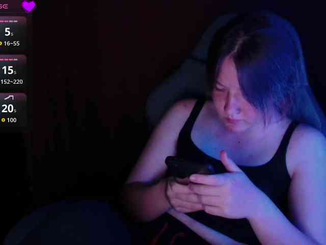 Lisse webcam