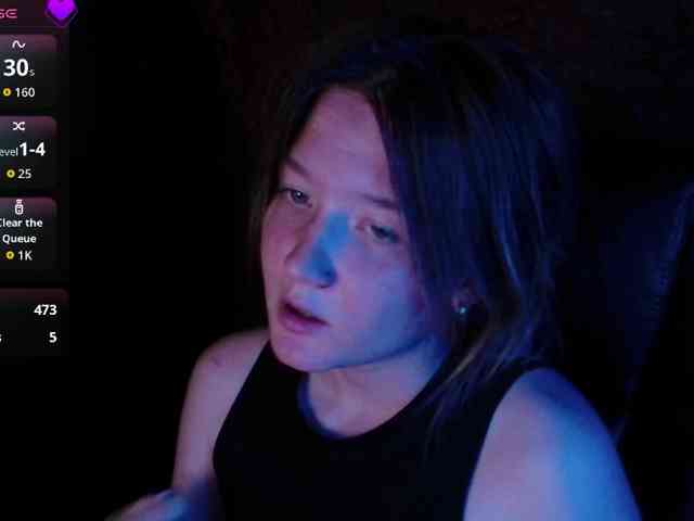 Lisse webcam
