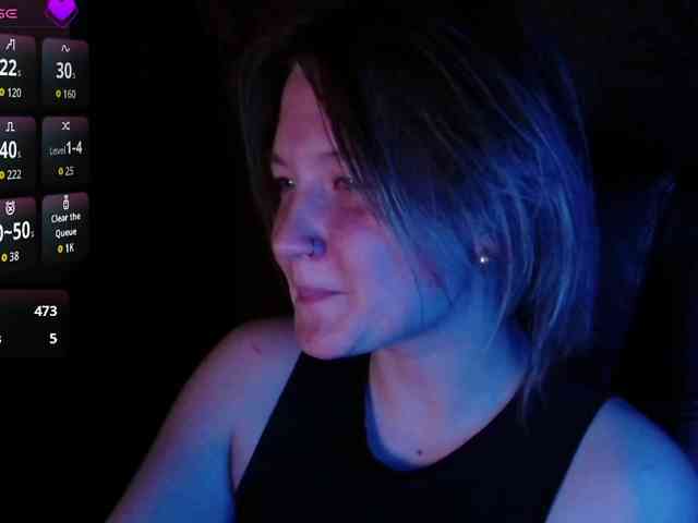 Lisse webcam