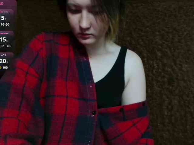 Lisse webcam