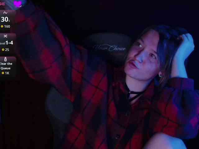 Lisse webcam