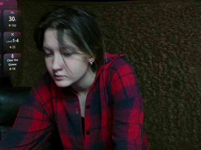 Lisse webcam