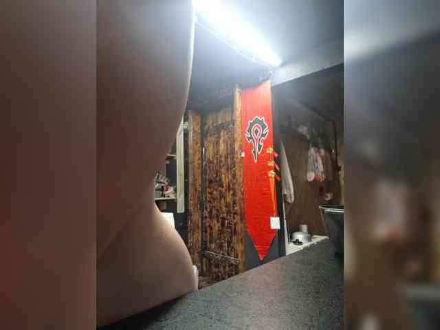 Lisse webcam
