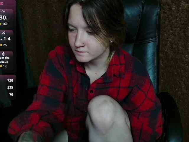 Lisse webcam
