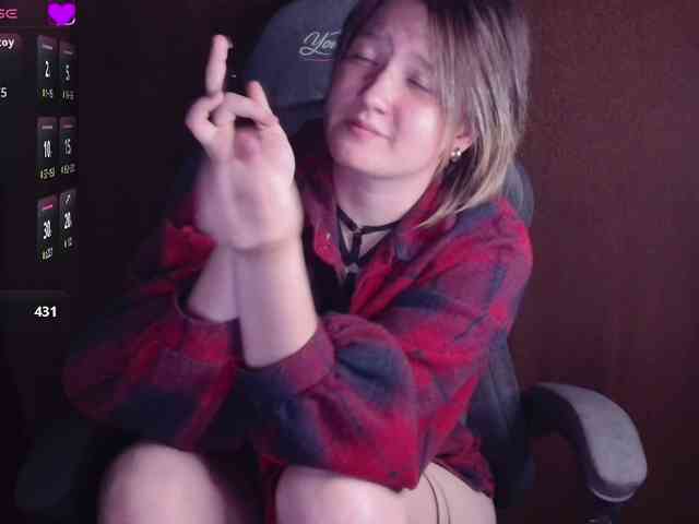 Lisse webcam