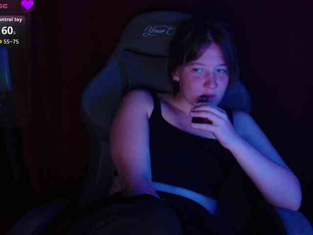 Lisse webcam