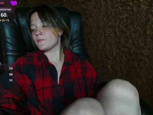 Lisse webcam