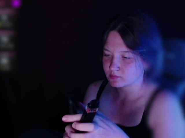 Lisse webcam