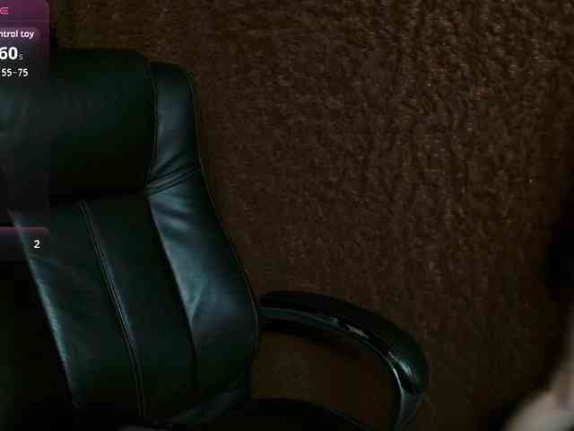 Lisse webcam