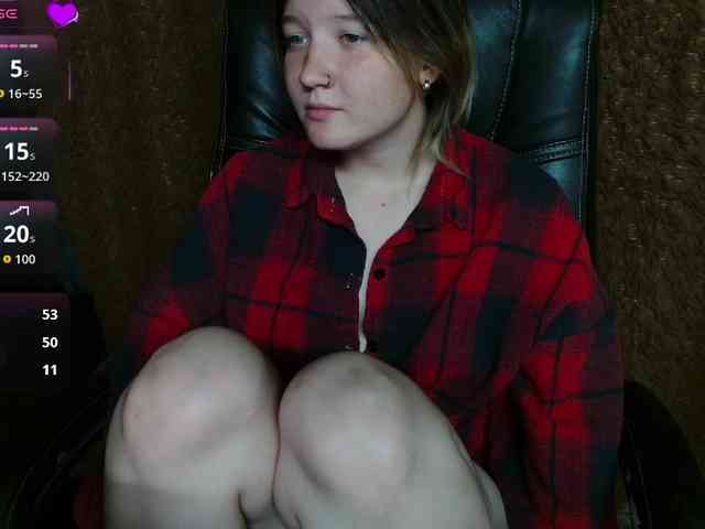 Lisse webcam