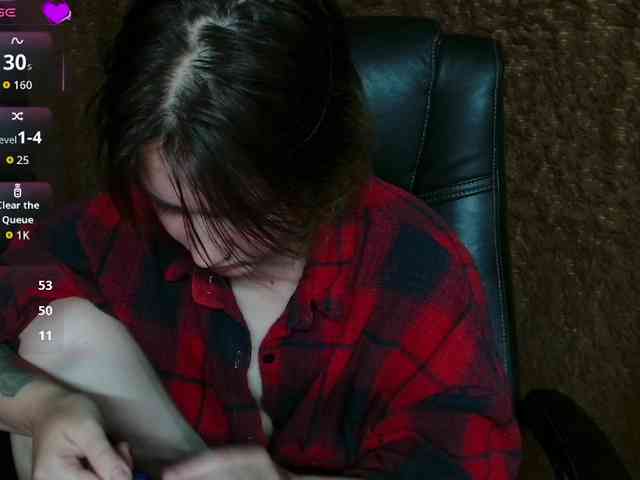 Lisse webcam