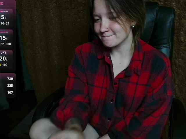 Lisse webcam