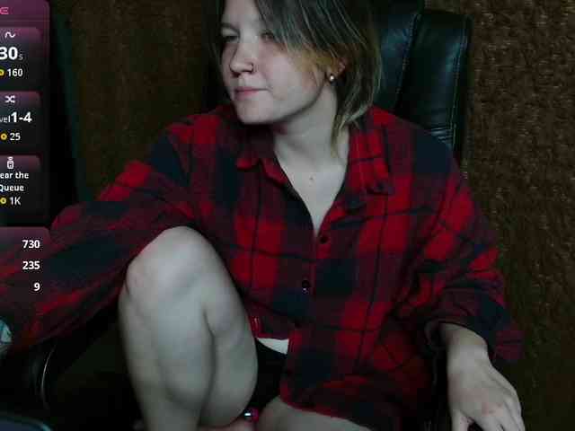 Lisse webcam