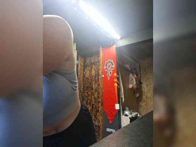 Lisse webcam