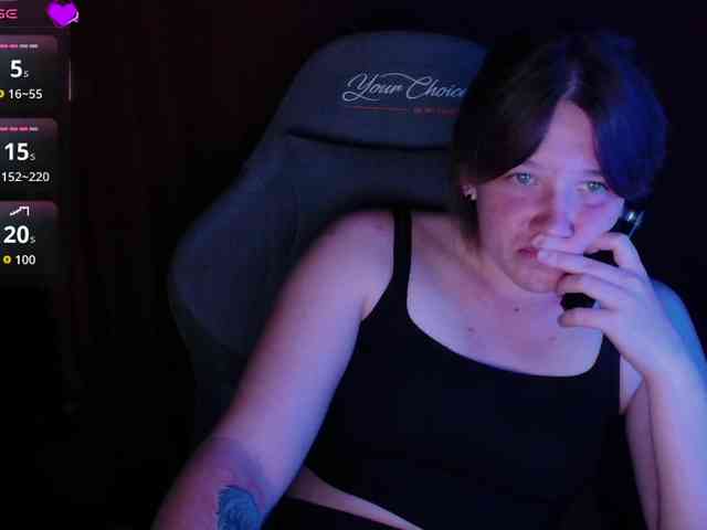 Lisse webcam