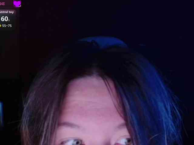 Lisse webcam