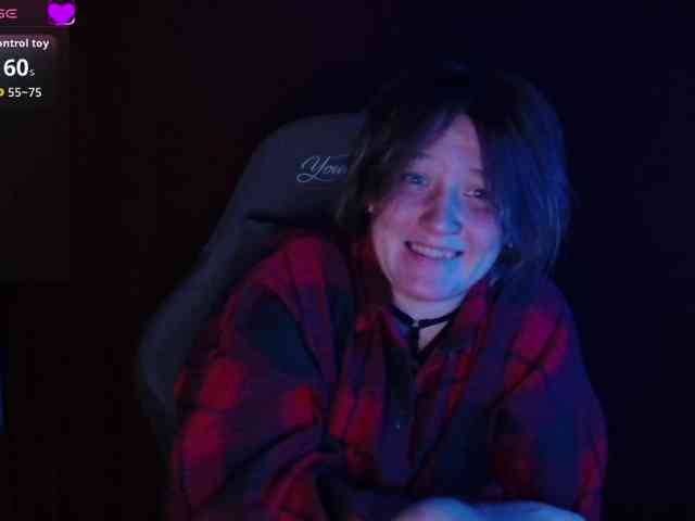 Lisse webcam