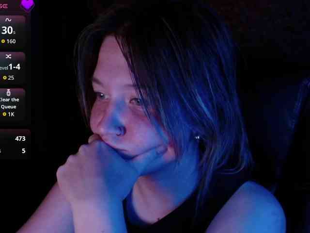 Lisse webcam