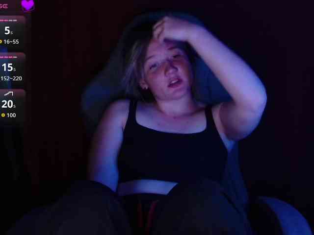 Lisse webcam